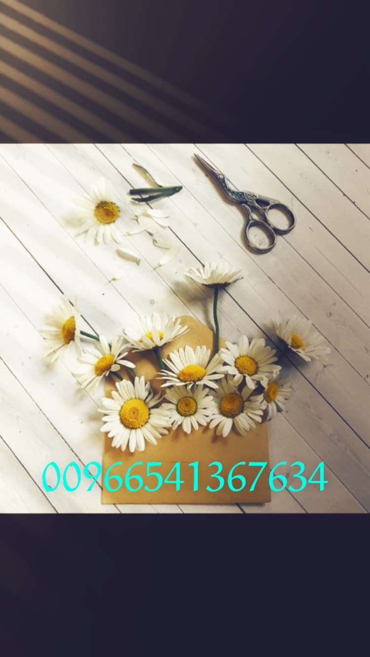product name